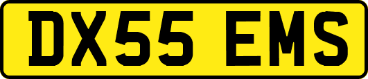 DX55EMS