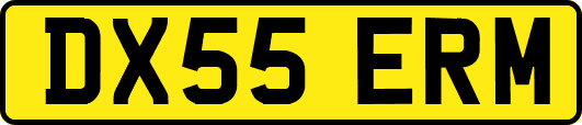 DX55ERM