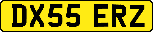 DX55ERZ