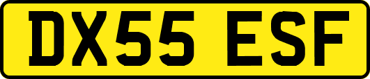 DX55ESF