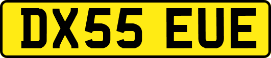 DX55EUE