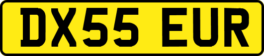 DX55EUR