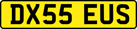 DX55EUS