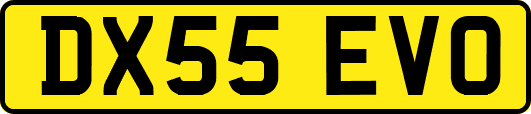 DX55EVO