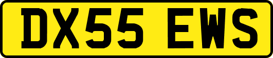 DX55EWS