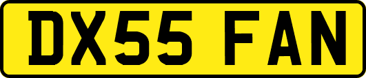 DX55FAN