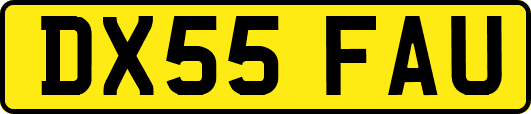 DX55FAU