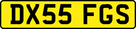 DX55FGS