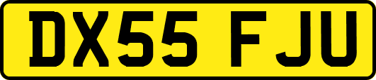 DX55FJU