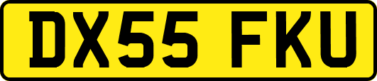 DX55FKU