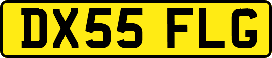 DX55FLG