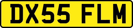 DX55FLM