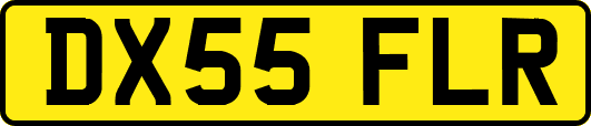 DX55FLR