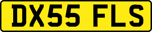 DX55FLS