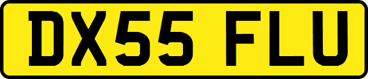 DX55FLU