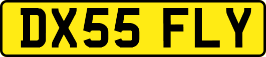 DX55FLY
