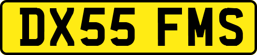 DX55FMS
