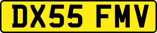 DX55FMV