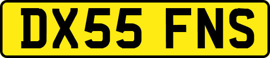 DX55FNS