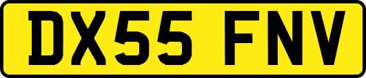 DX55FNV