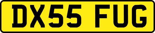 DX55FUG