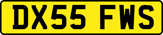 DX55FWS