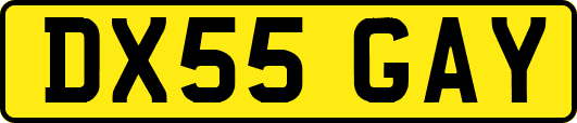 DX55GAY
