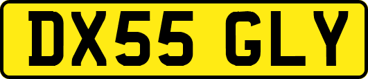 DX55GLY