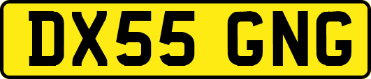 DX55GNG