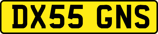 DX55GNS