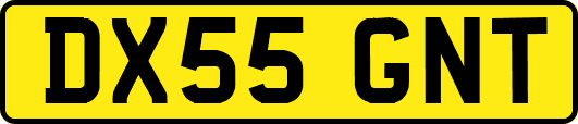 DX55GNT