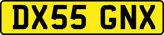 DX55GNX