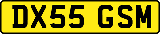 DX55GSM