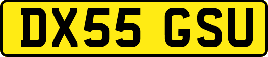 DX55GSU