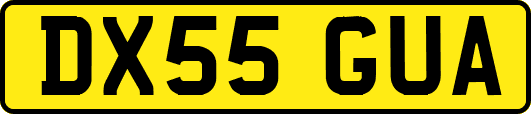 DX55GUA
