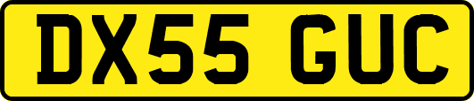 DX55GUC
