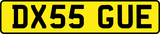 DX55GUE