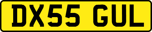 DX55GUL