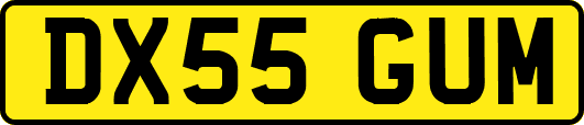 DX55GUM