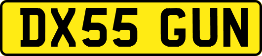 DX55GUN