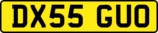 DX55GUO