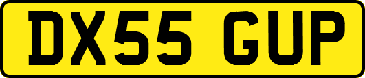 DX55GUP