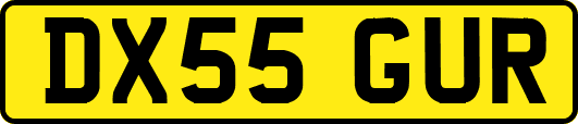 DX55GUR