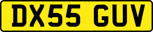 DX55GUV