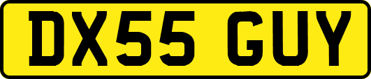 DX55GUY