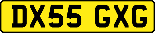 DX55GXG