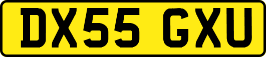 DX55GXU