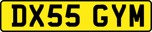 DX55GYM
