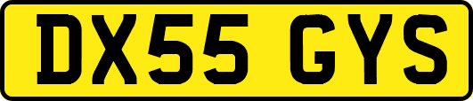 DX55GYS