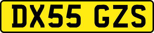 DX55GZS